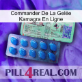Commander De La Gelée Kamagra En Ligne new02